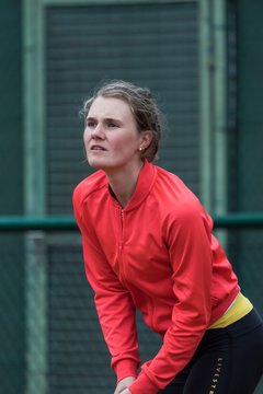 Bild 604 - NL TC RW Wahlstedt - Braunschweiger THC : Ergebnis: 5:4